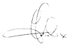 Heidi's signature
